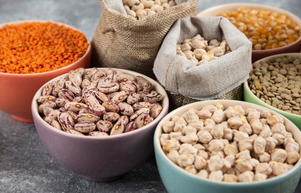 dystrybutor nasion holenderskich