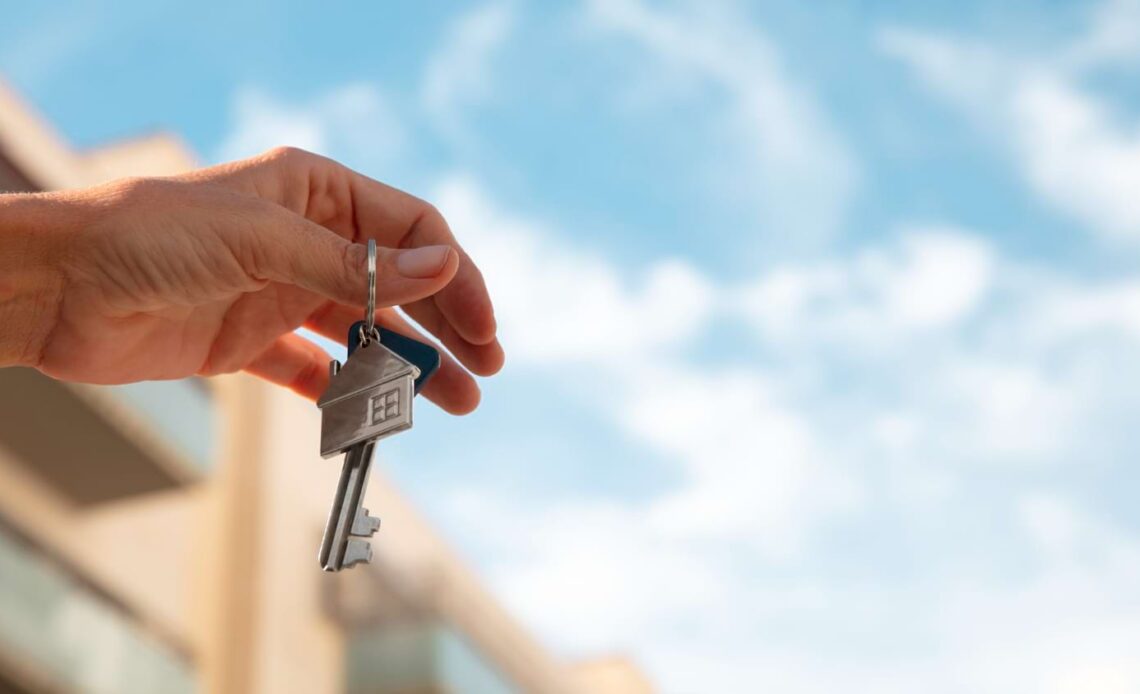 strony internetowe dla dewelopera