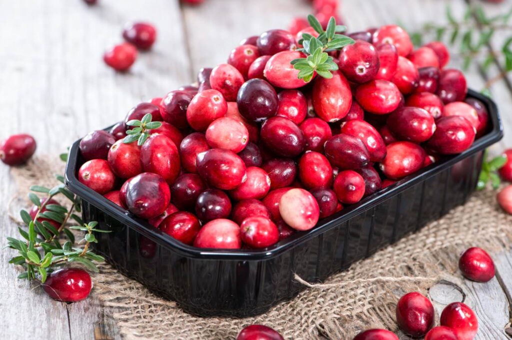 żurawina liofilizowana