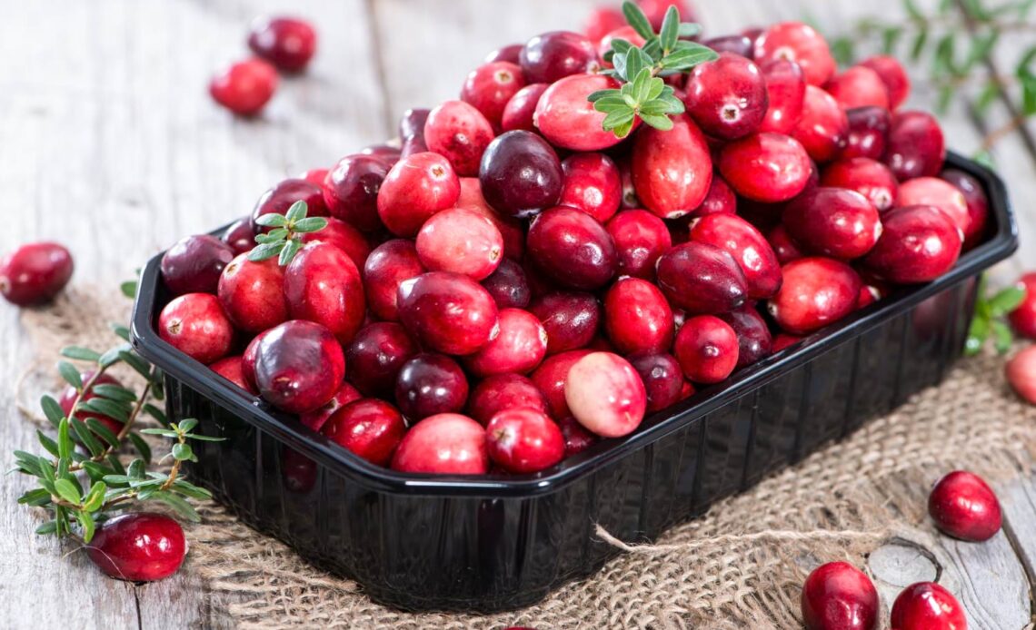 żurawina liofilizowana